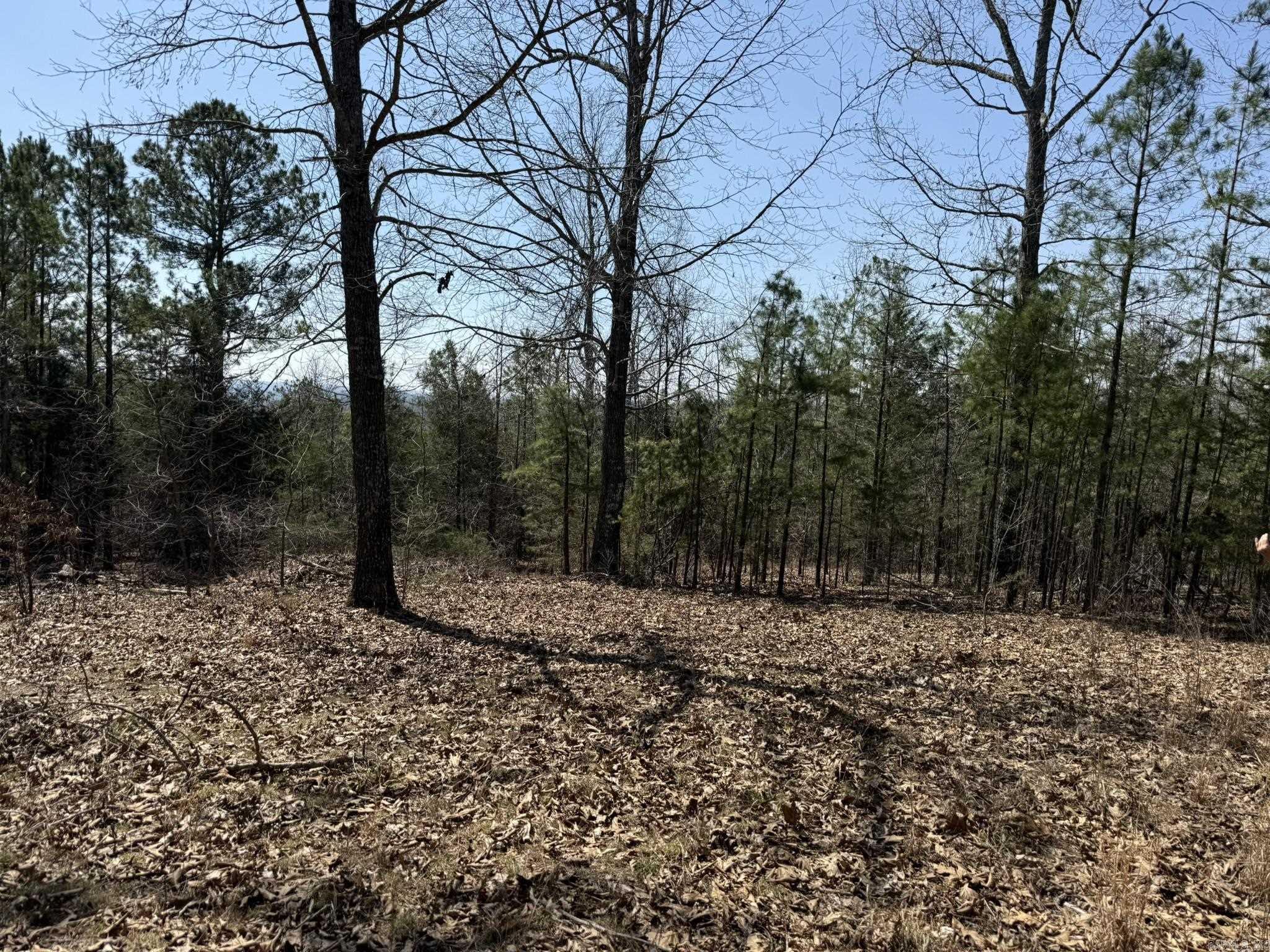 Photo 3 - Vacant Land for sale – 000  Foxcroft   Elizabeth, AR