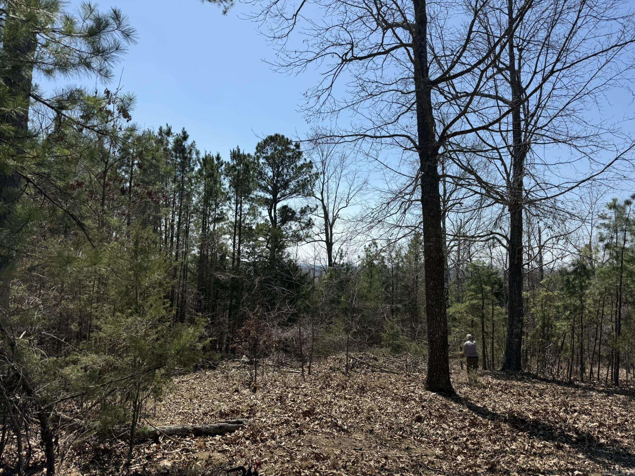 Photo 21 - Vacant Land for sale – 000  Foxcroft   Elizabeth, AR