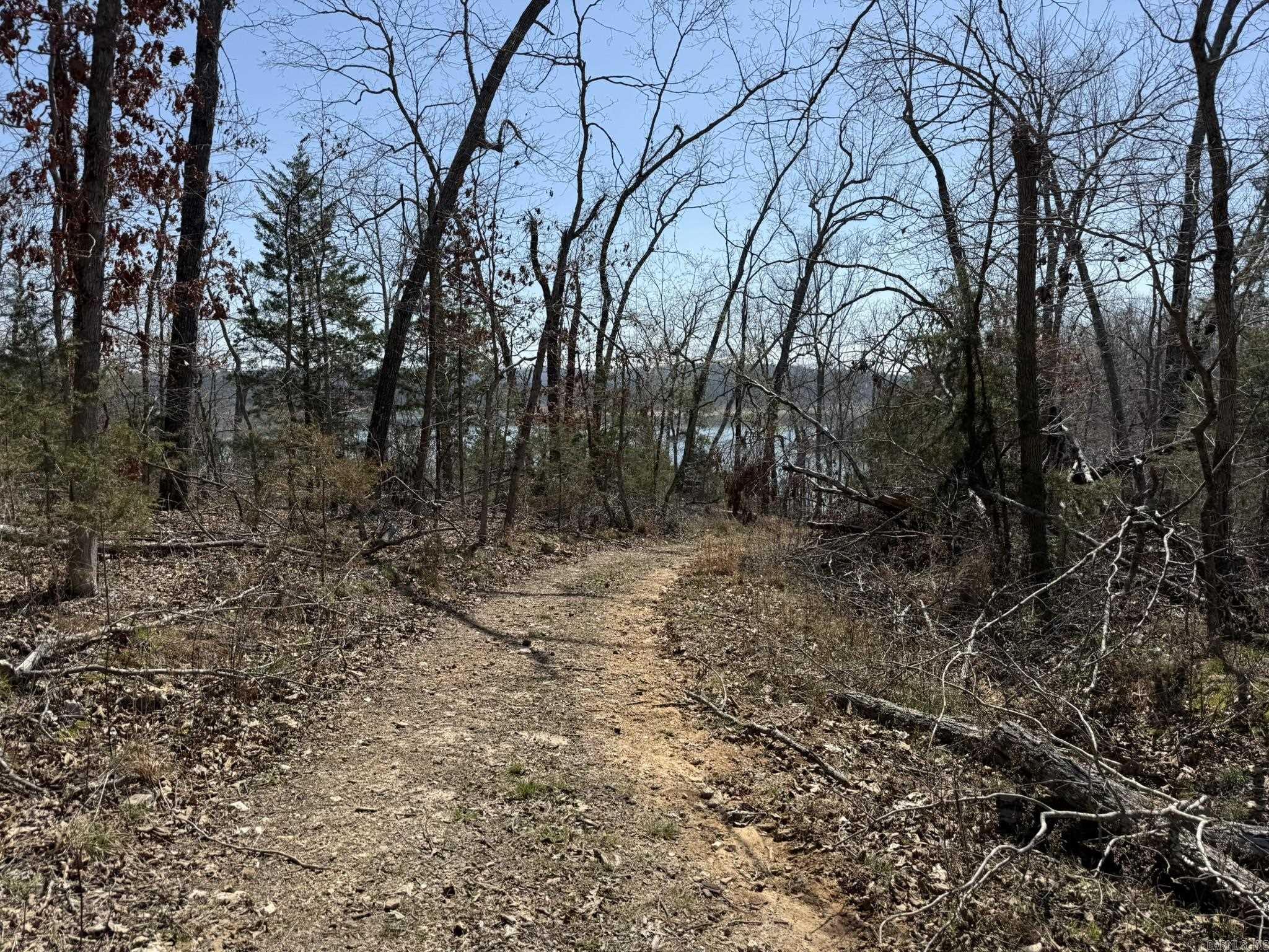 Photo 22 - Vacant Land for sale – 000  Foxcroft   Elizabeth, AR