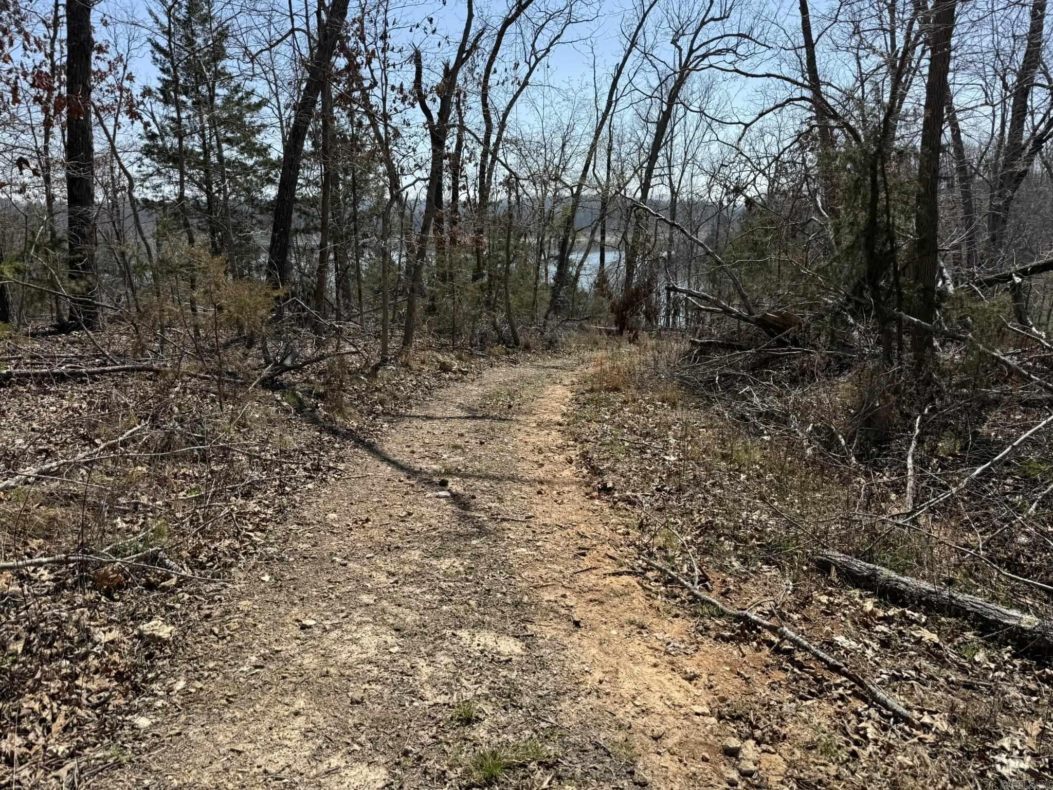 Photo 23 - Vacant Land for sale – 000  Foxcroft   Elizabeth, AR