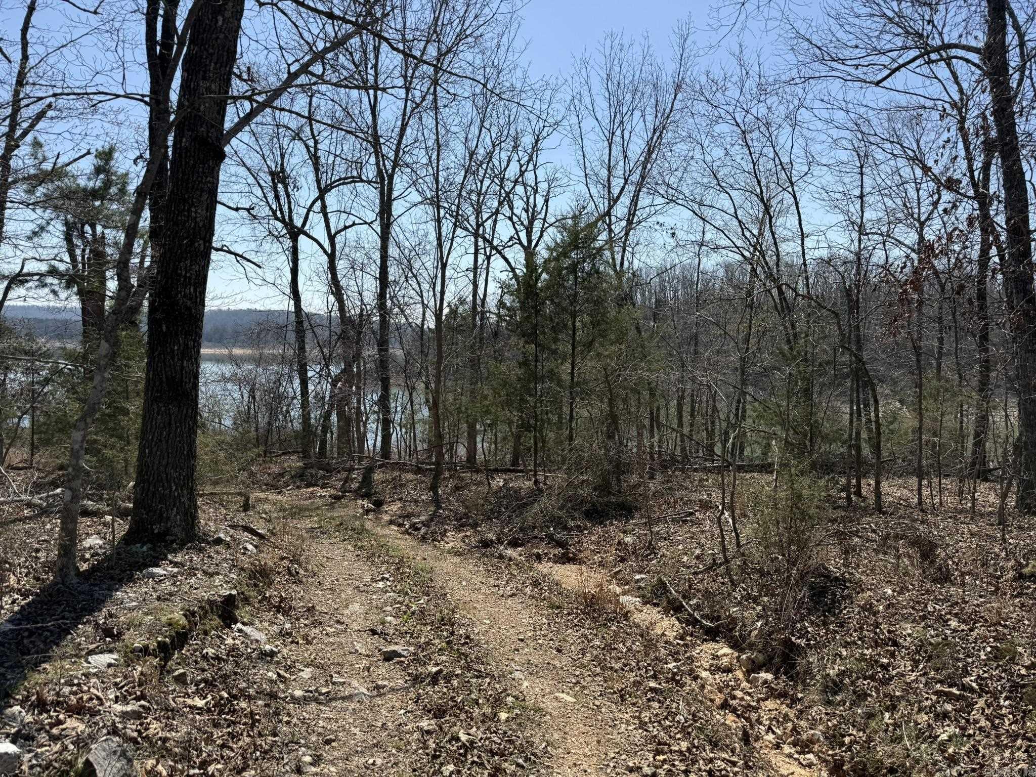 Photo 24 - Vacant Land for sale – 000  Foxcroft   Elizabeth, AR