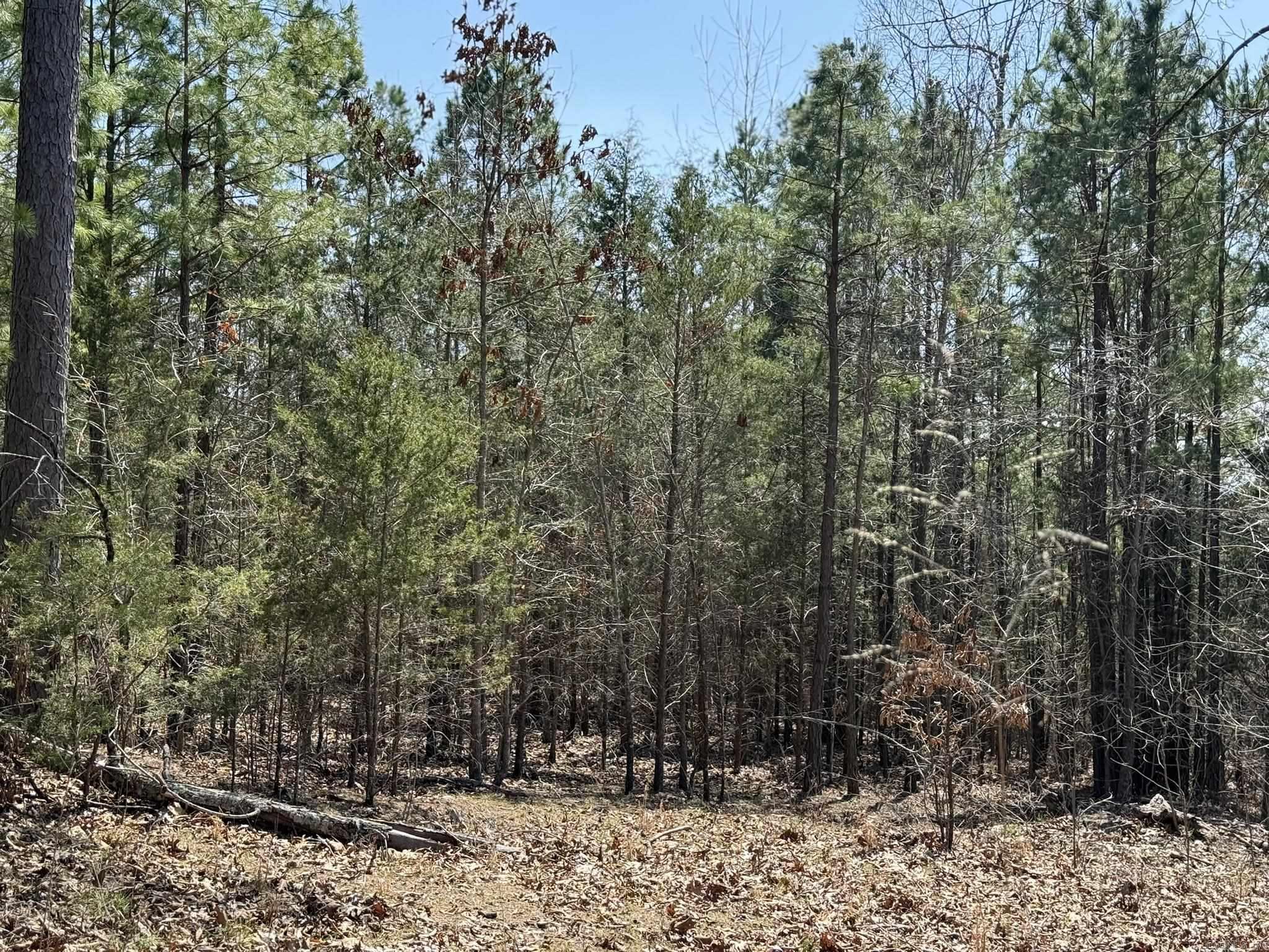 Photo 8 - Vacant Land for sale – 000  Foxcroft   Elizabeth, AR