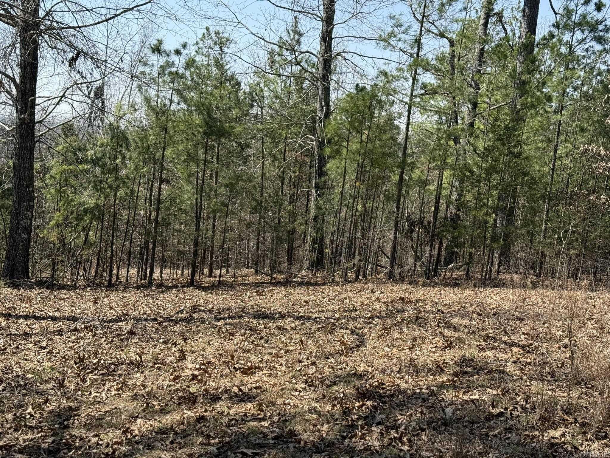 Photo 9 - Vacant Land for sale – 000  Foxcroft   Elizabeth, AR