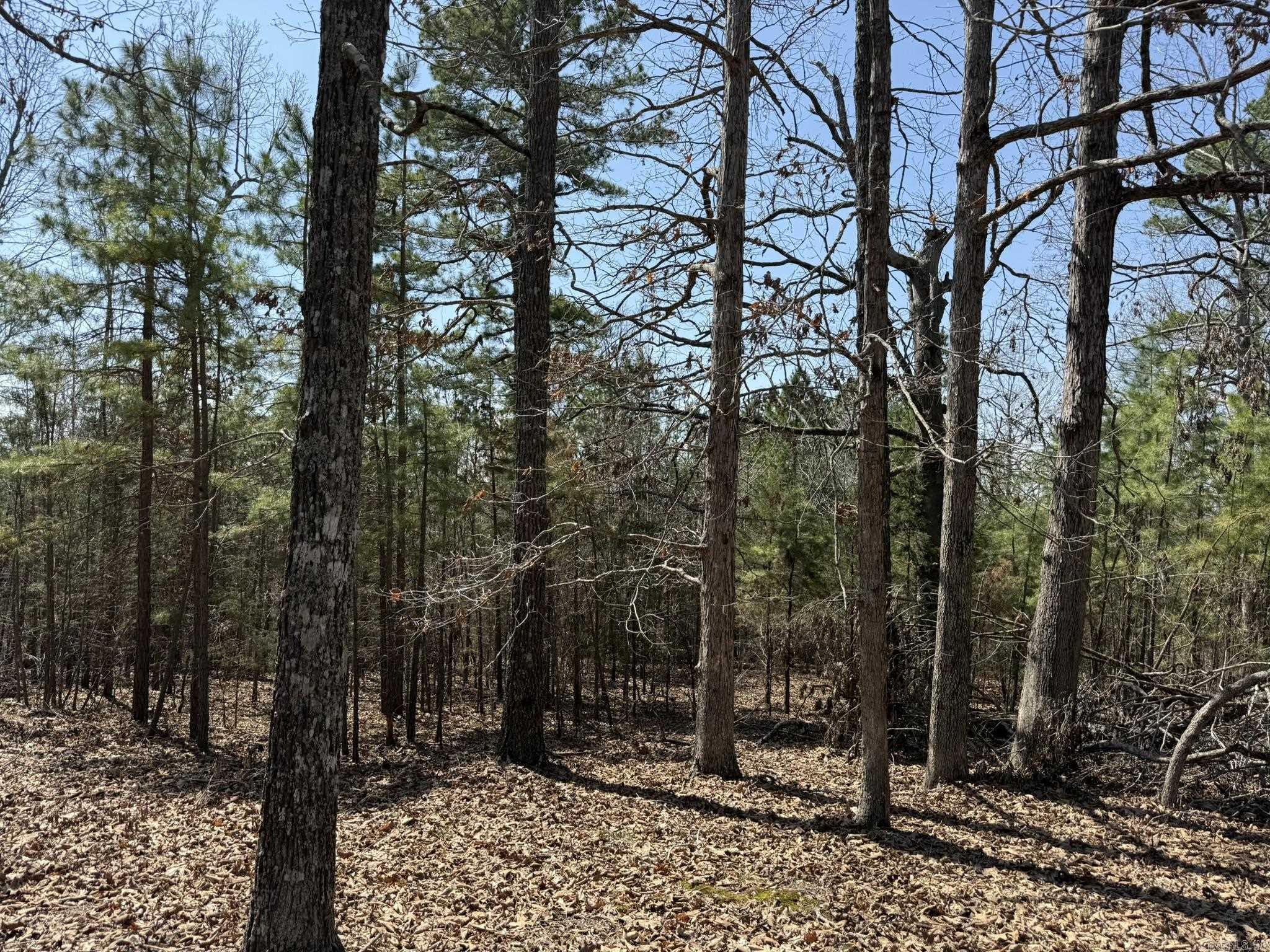 Photo 10 - Vacant Land for sale – 000  Foxcroft   Elizabeth, AR