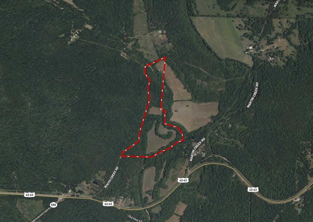 Photo 2 - Vacant Land for sale – 000  Booth Creek Road   Williford, AR