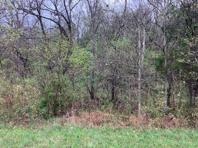Photo 11 - Vacant Land for sale – 000  Booth Creek Road   Williford, AR