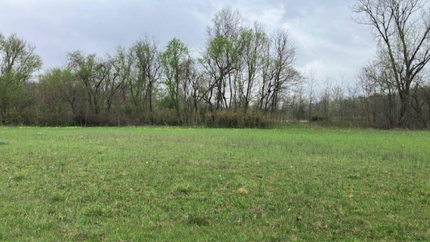 Photo 12 - Vacant Land for sale – 000  Booth Creek Road   Williford, AR