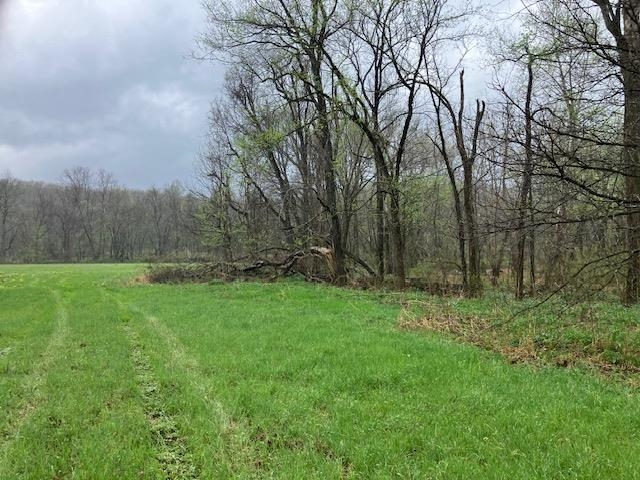 Photo 14 - Vacant Land for sale – 000  Booth Creek Road   Williford, AR