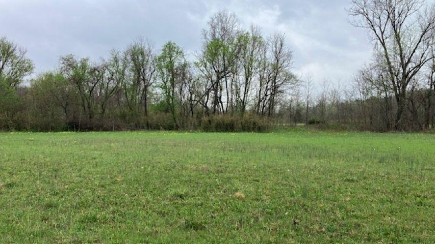 Photo 15 - Vacant Land for sale – 000  Booth Creek Road   Williford, AR