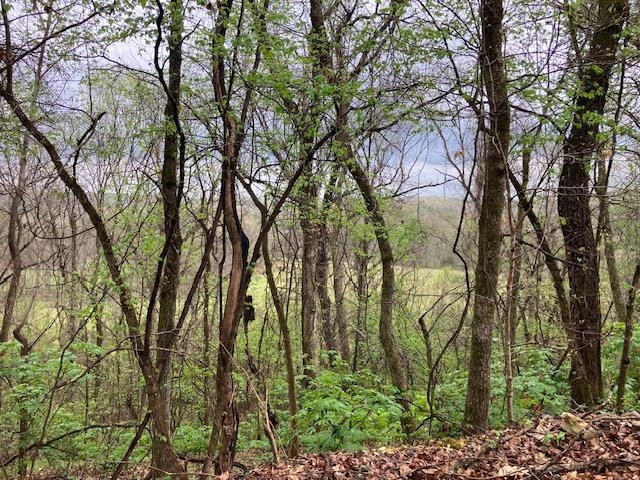 Photo 16 - Vacant Land for sale – 000  Booth Creek Road   Williford, AR