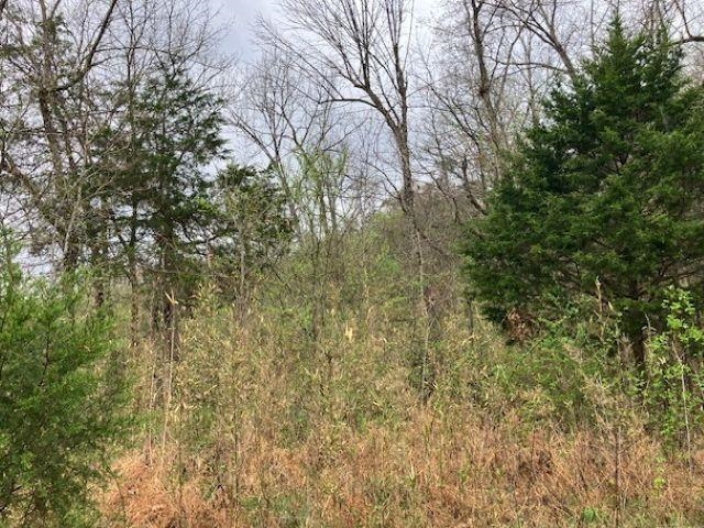 Photo 19 - Vacant Land for sale – 000  Booth Creek Road   Williford, AR