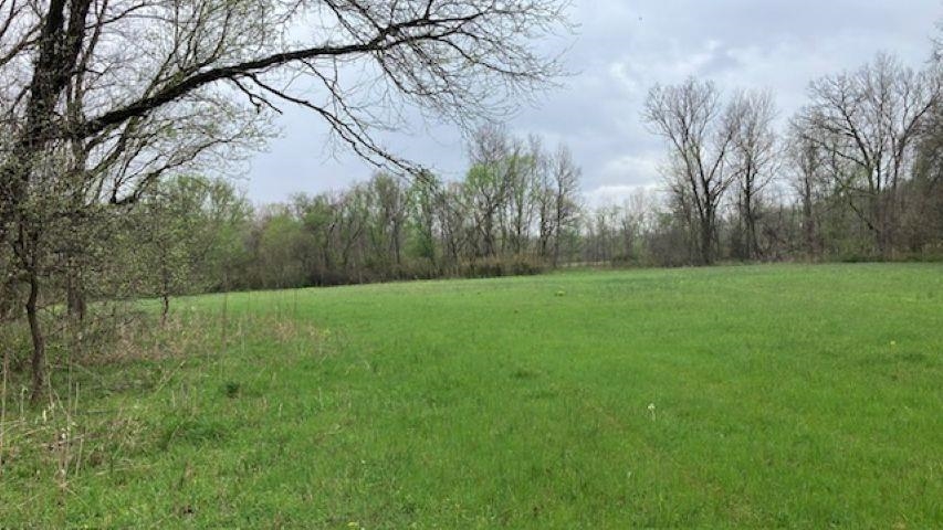 Photo 20 - Vacant Land for sale – 000  Booth Creek Road   Williford, AR