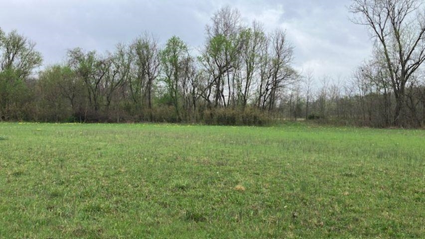 Photo 3 - Vacant Land for sale – 000  Booth Creek Road   Williford, AR