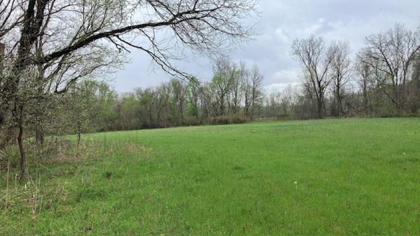 Photo 21 - Vacant Land for sale – 000  Booth Creek Road   Williford, AR