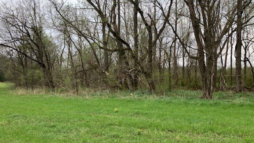 Photo 22 - Vacant Land for sale – 000  Booth Creek Road   Williford, AR