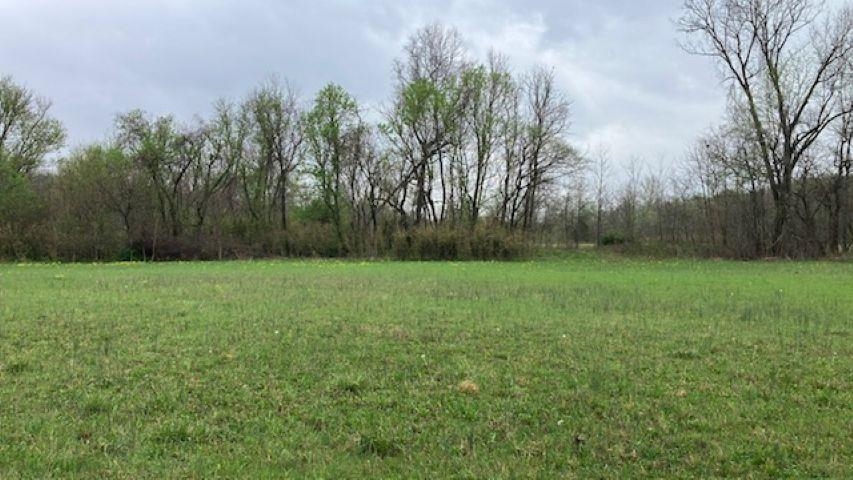 Photo 23 - Vacant Land for sale – 000  Booth Creek Road   Williford, AR