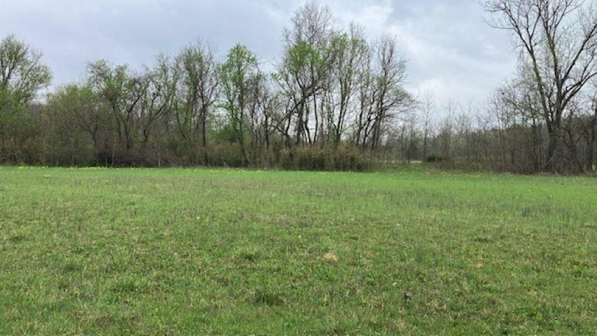 Photo 24 - Vacant Land for sale – 000  Booth Creek Road   Williford, AR