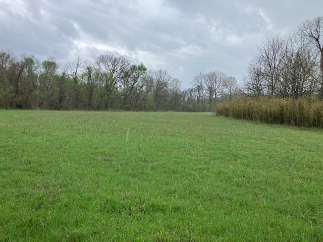 Photo 4 - Vacant Land for sale – 000  Booth Creek Road   Williford, AR
