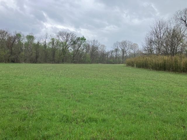 Photo 5 - Vacant Land for sale – 000  Booth Creek Road   Williford, AR