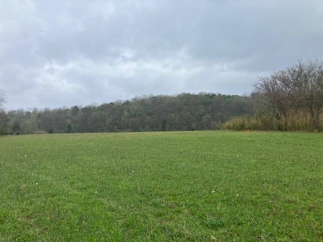 Photo 6 - Vacant Land for sale – 000  Booth Creek Road   Williford, AR