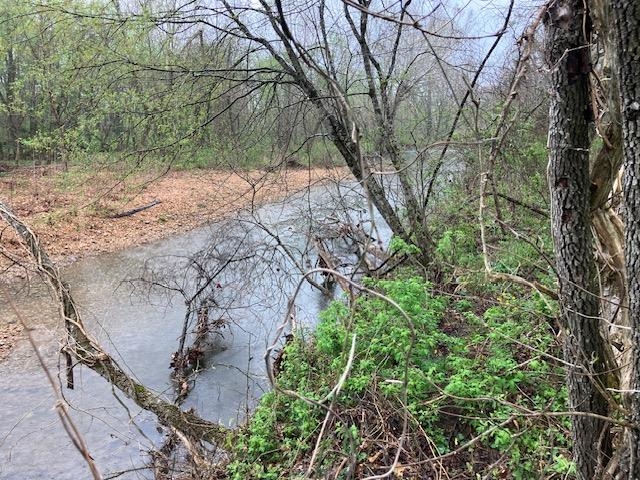 Photo 7 - Vacant Land for sale – 000  Booth Creek Road   Williford, AR