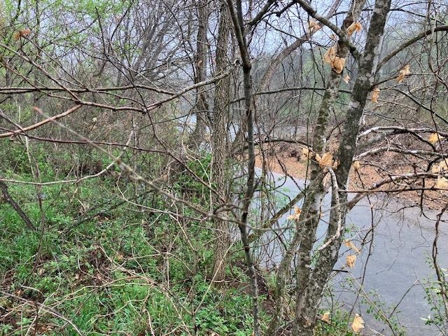 Photo 8 - Vacant Land for sale – 000  Booth Creek Road   Williford, AR