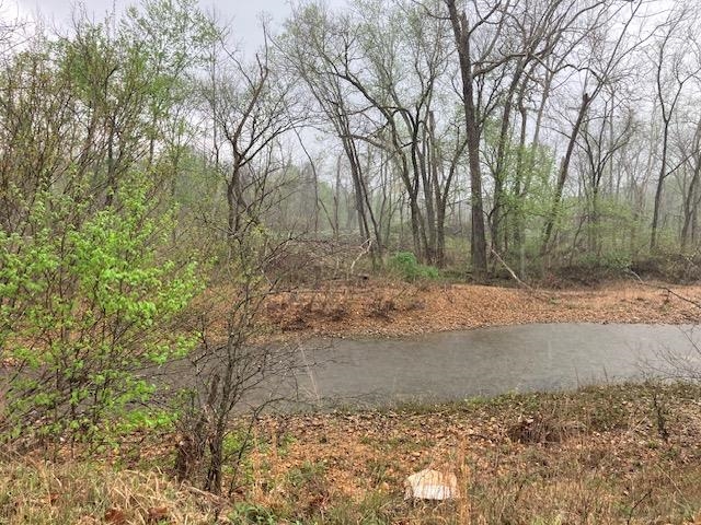 Photo 9 - Vacant Land for sale – 000  Booth Creek Road   Williford, AR