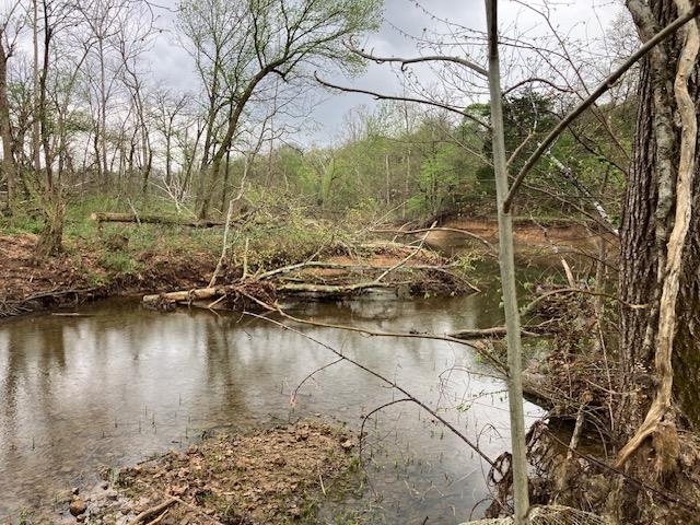 Photo 10 - Vacant Land for sale – 000  Booth Creek Road   Williford, AR