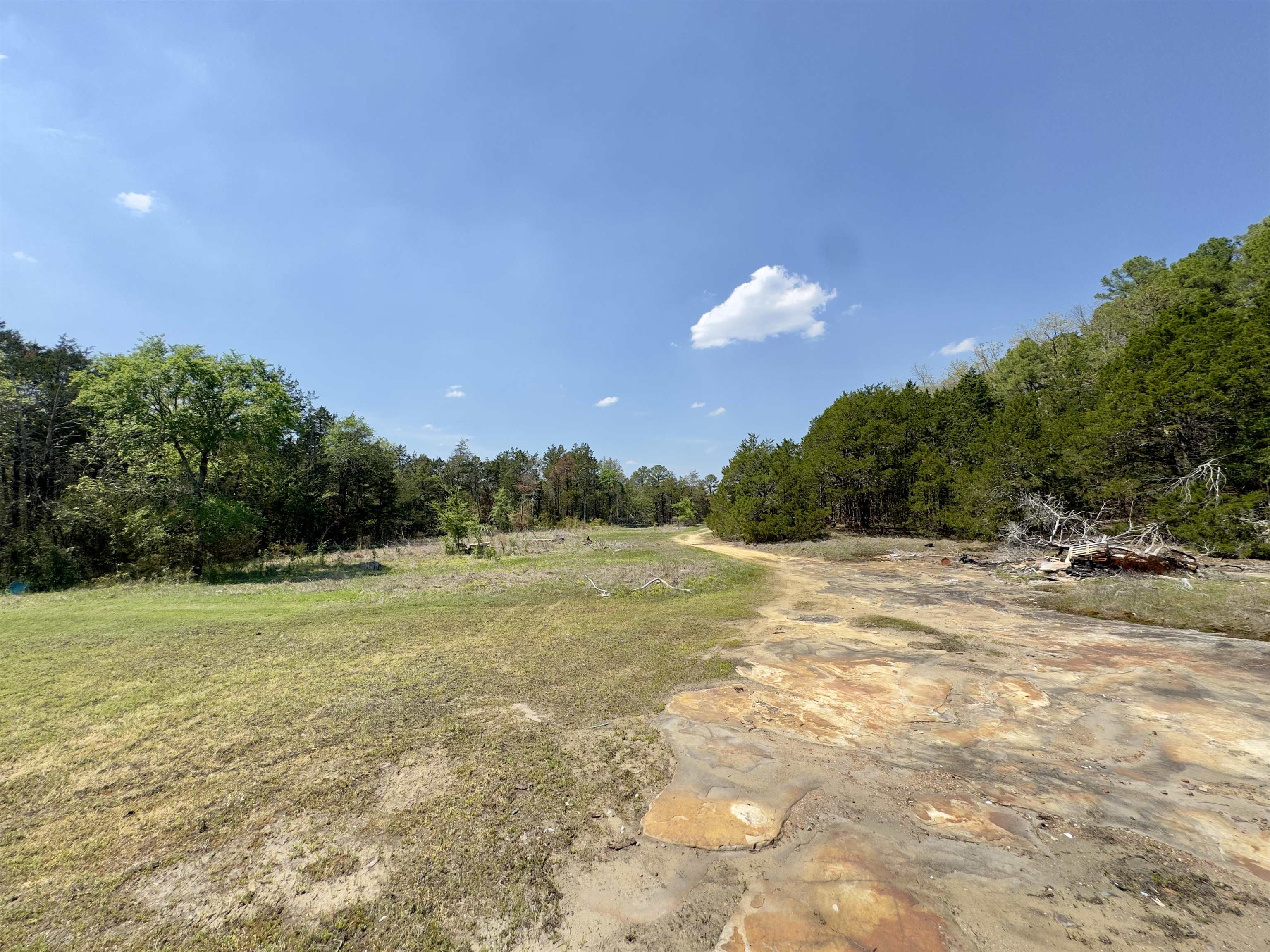 Photo 12 - Vacant Land for sale – 703  Old Dolph   Calico Rock, AR