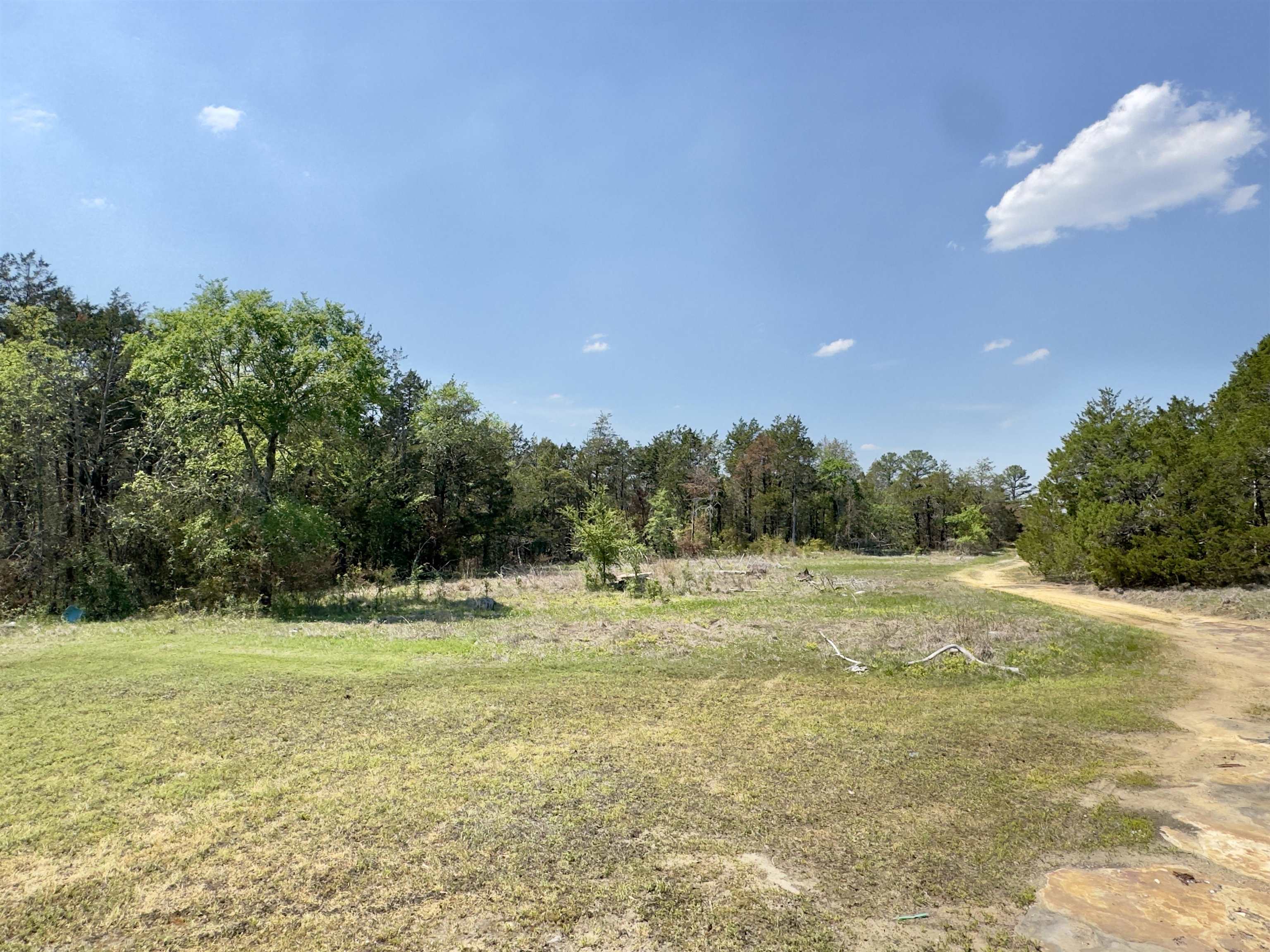 Photo 14 - Vacant Land for sale – 703  Old Dolph   Calico Rock, AR