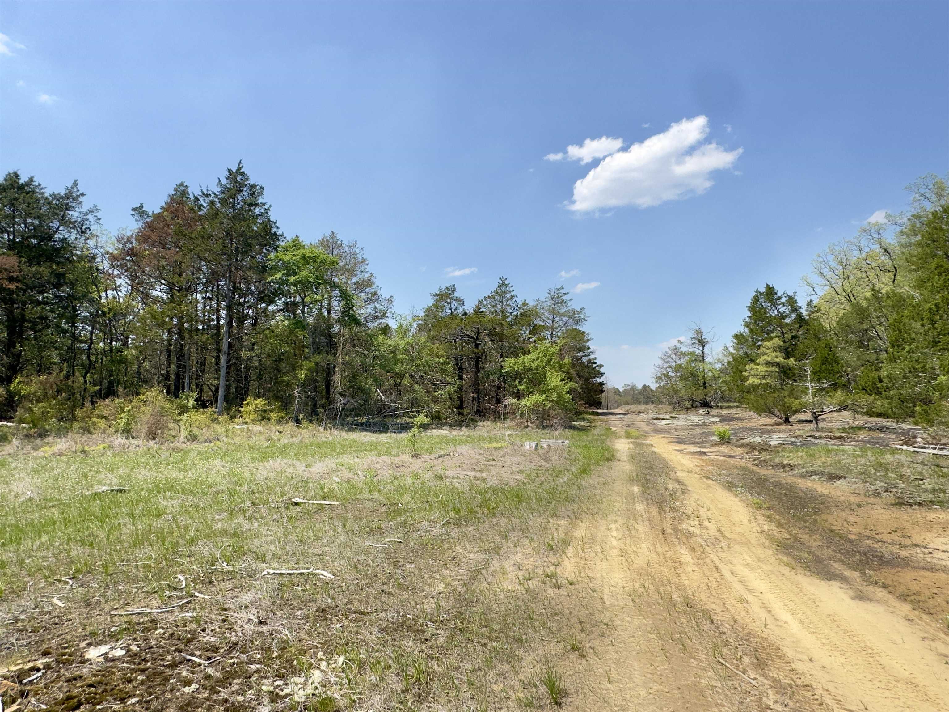 Photo 16 - Vacant Land for sale – 703  Old Dolph   Calico Rock, AR