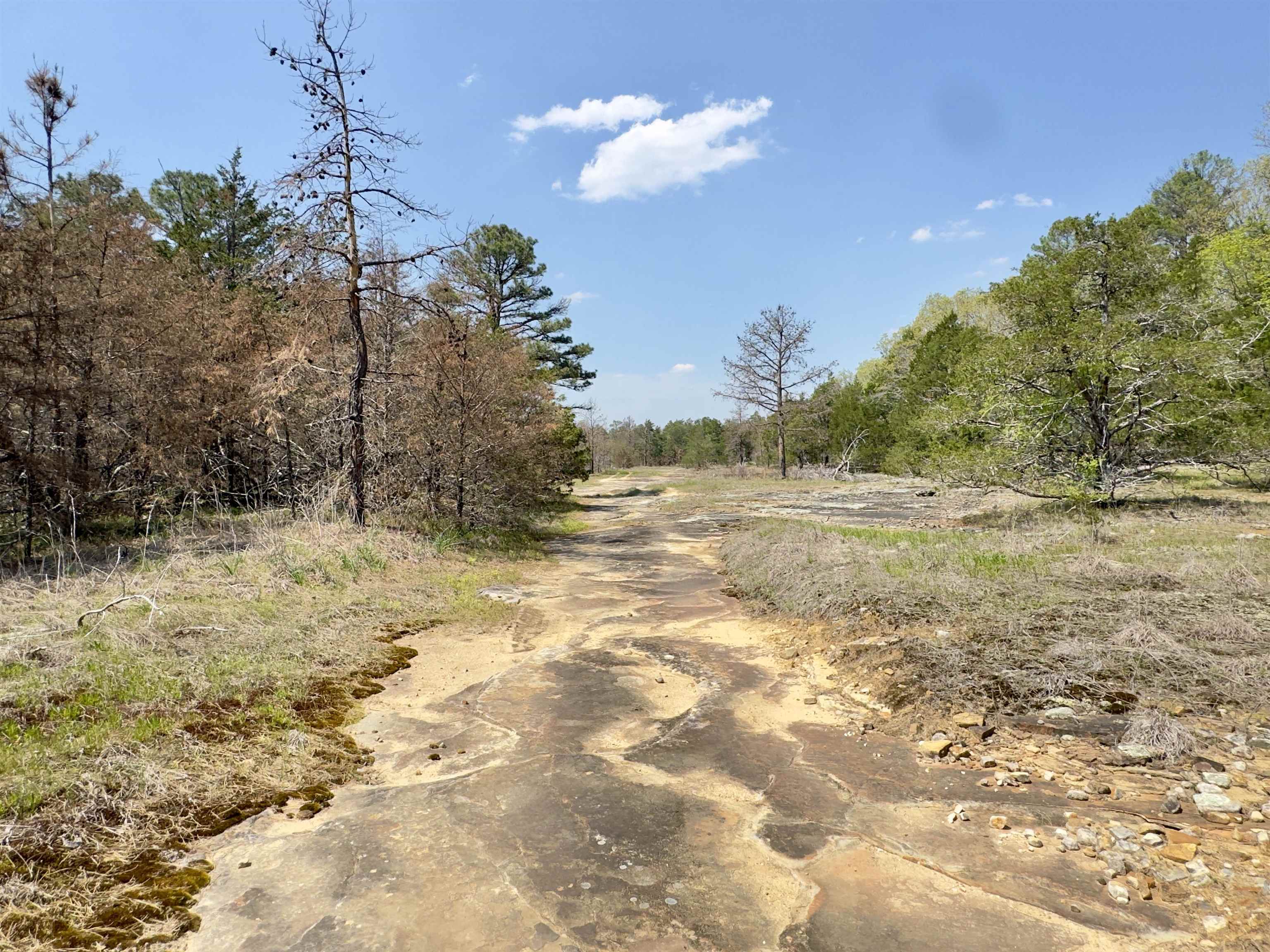 Photo 17 - Vacant Land for sale – 703  Old Dolph   Calico Rock, AR