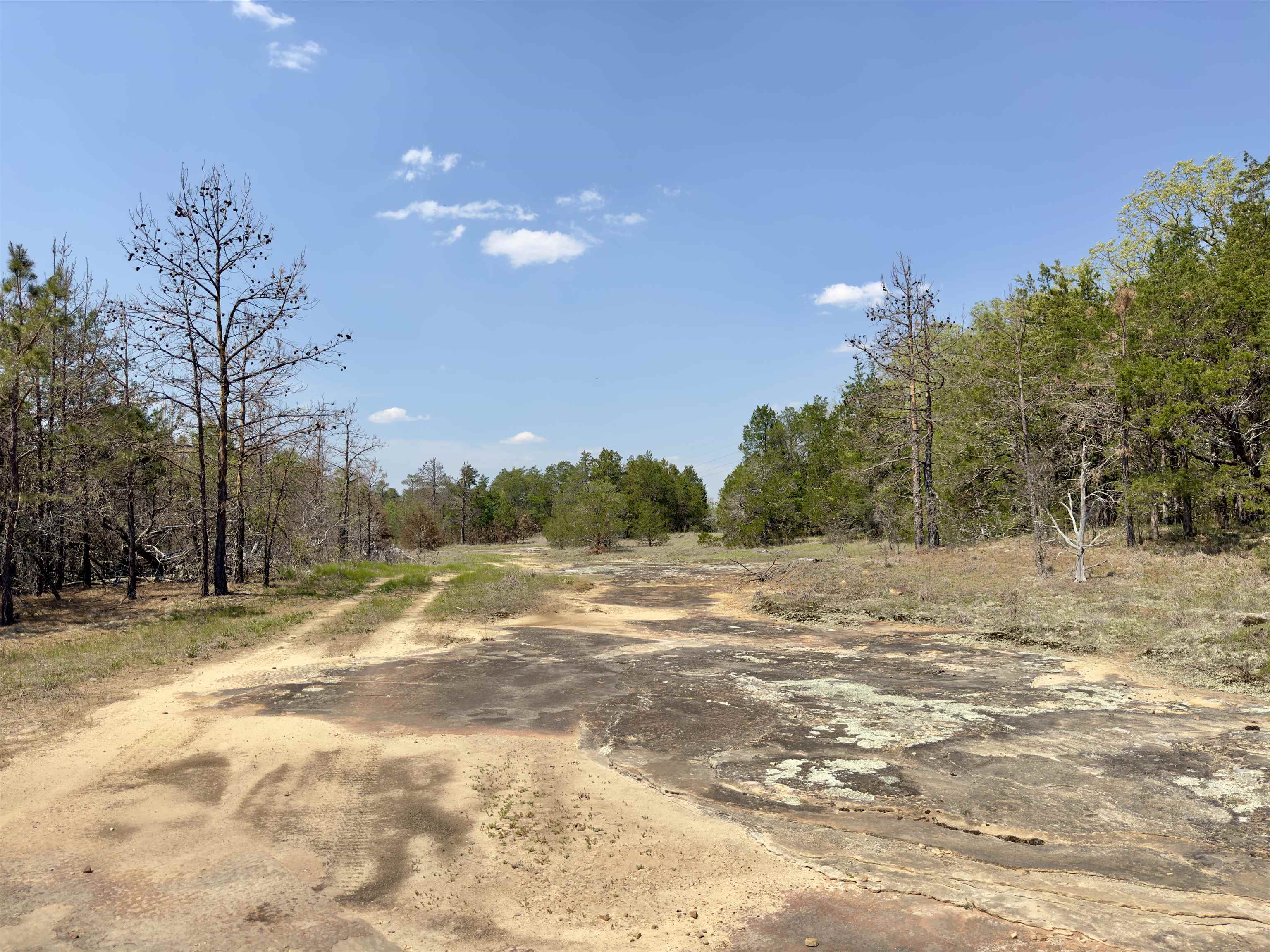 Photo 19 - Vacant Land for sale – 703  Old Dolph   Calico Rock, AR