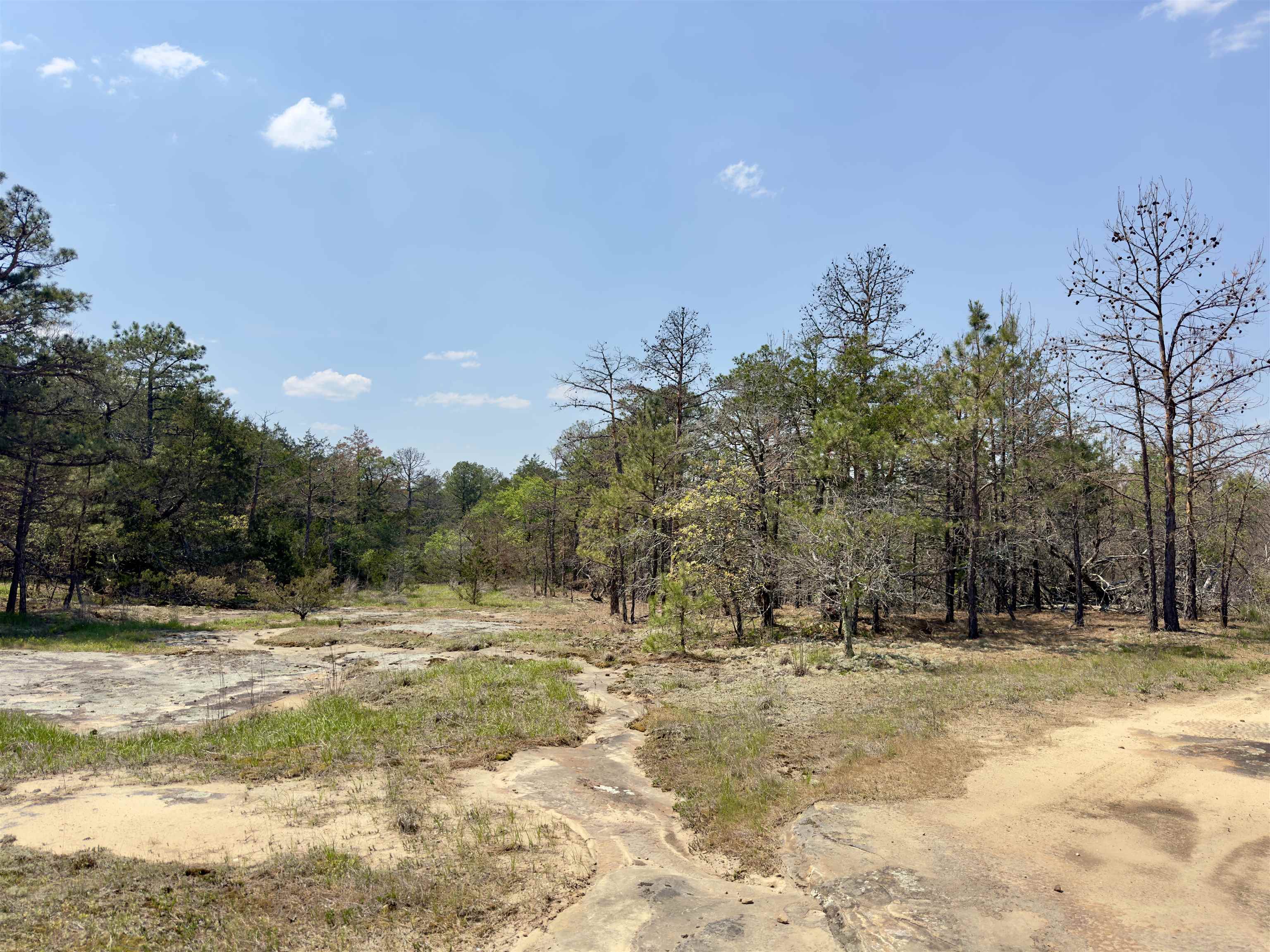 Photo 20 - Vacant Land for sale – 703  Old Dolph   Calico Rock, AR