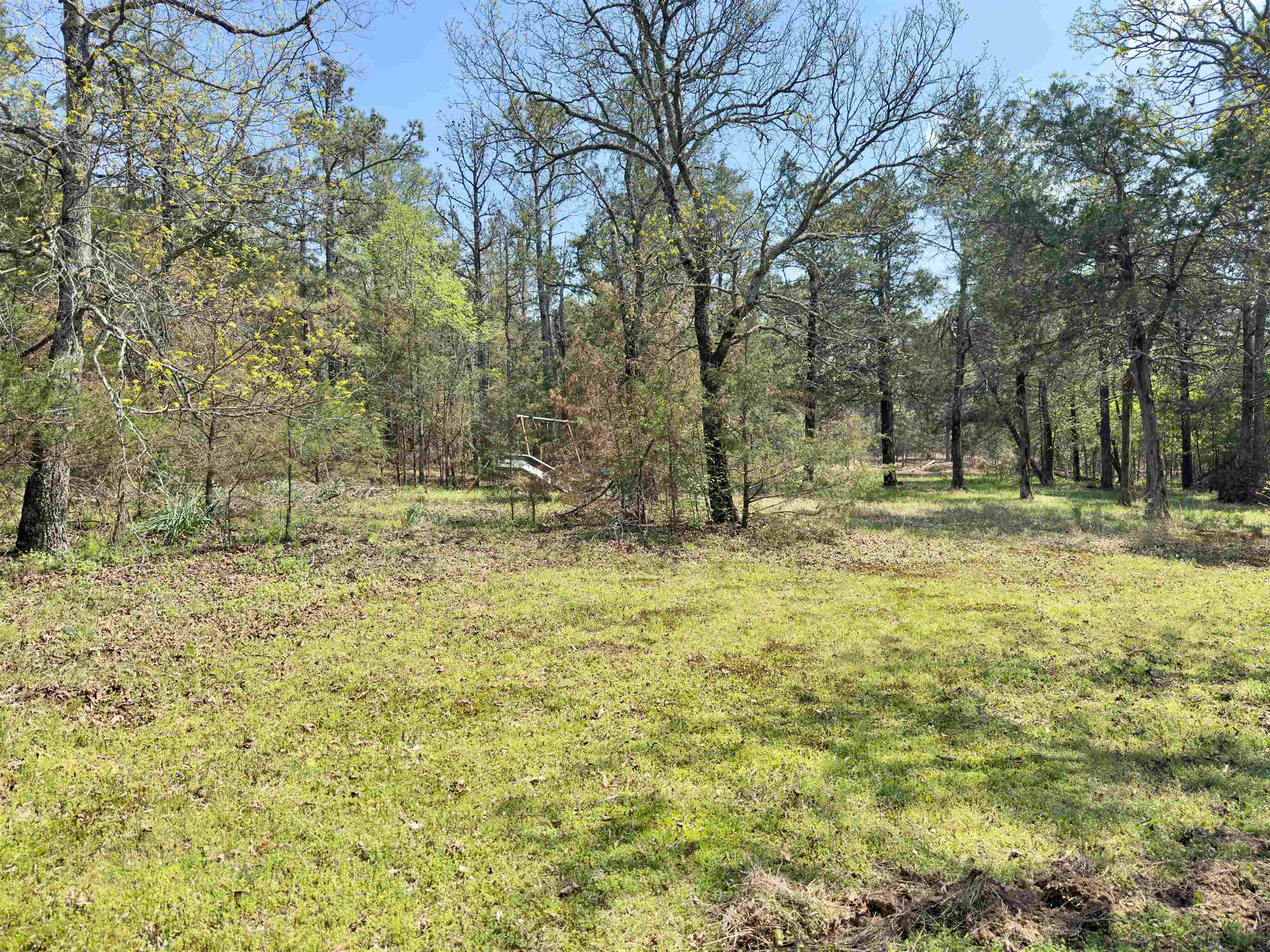 Photo 23 - Vacant Land for sale – 703  Old Dolph   Calico Rock, AR