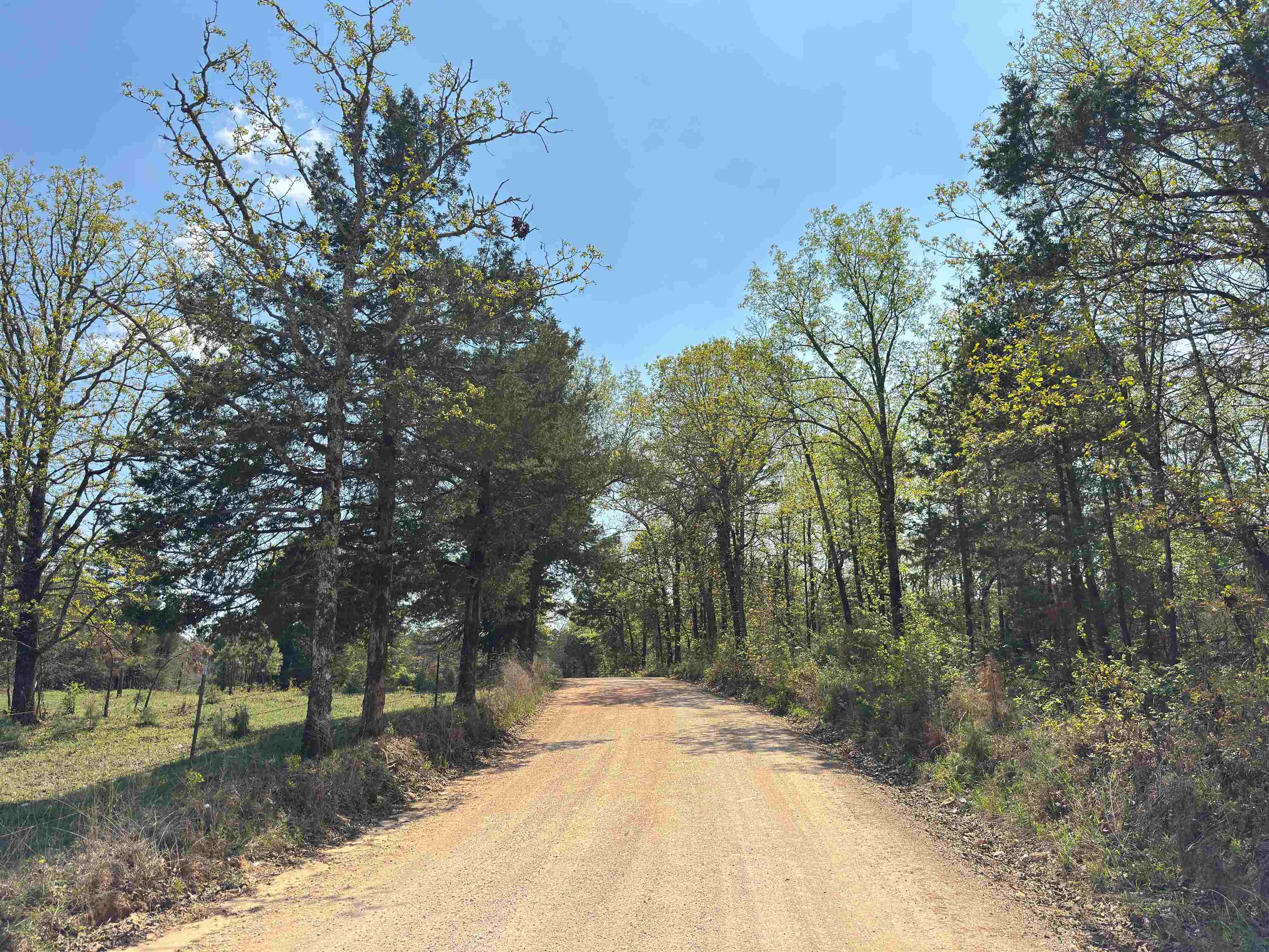 Photo 27 - Vacant Land for sale – 703  Old Dolph   Calico Rock, AR