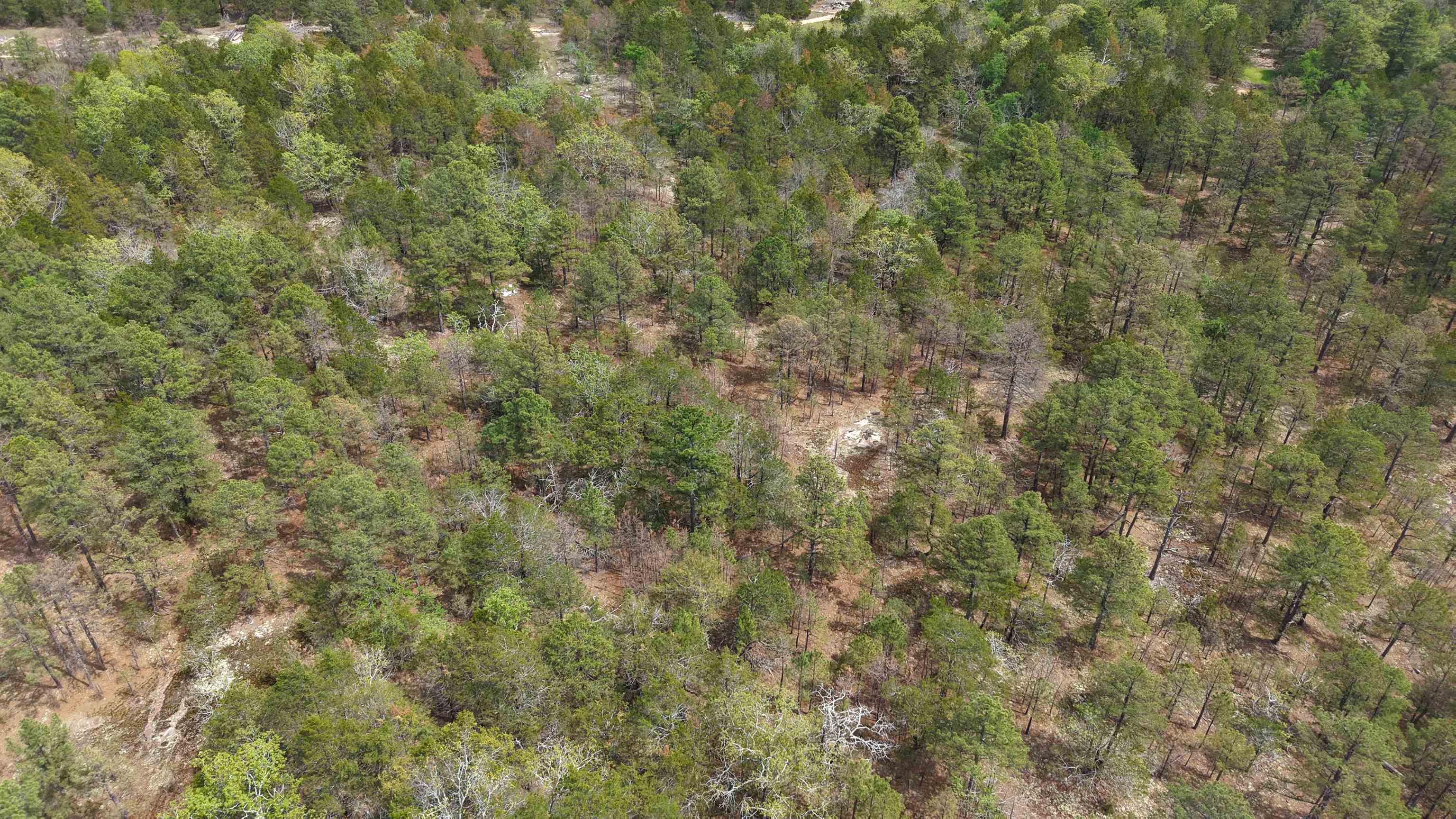 Photo 6 - Vacant Land for sale – 703  Old Dolph   Calico Rock, AR