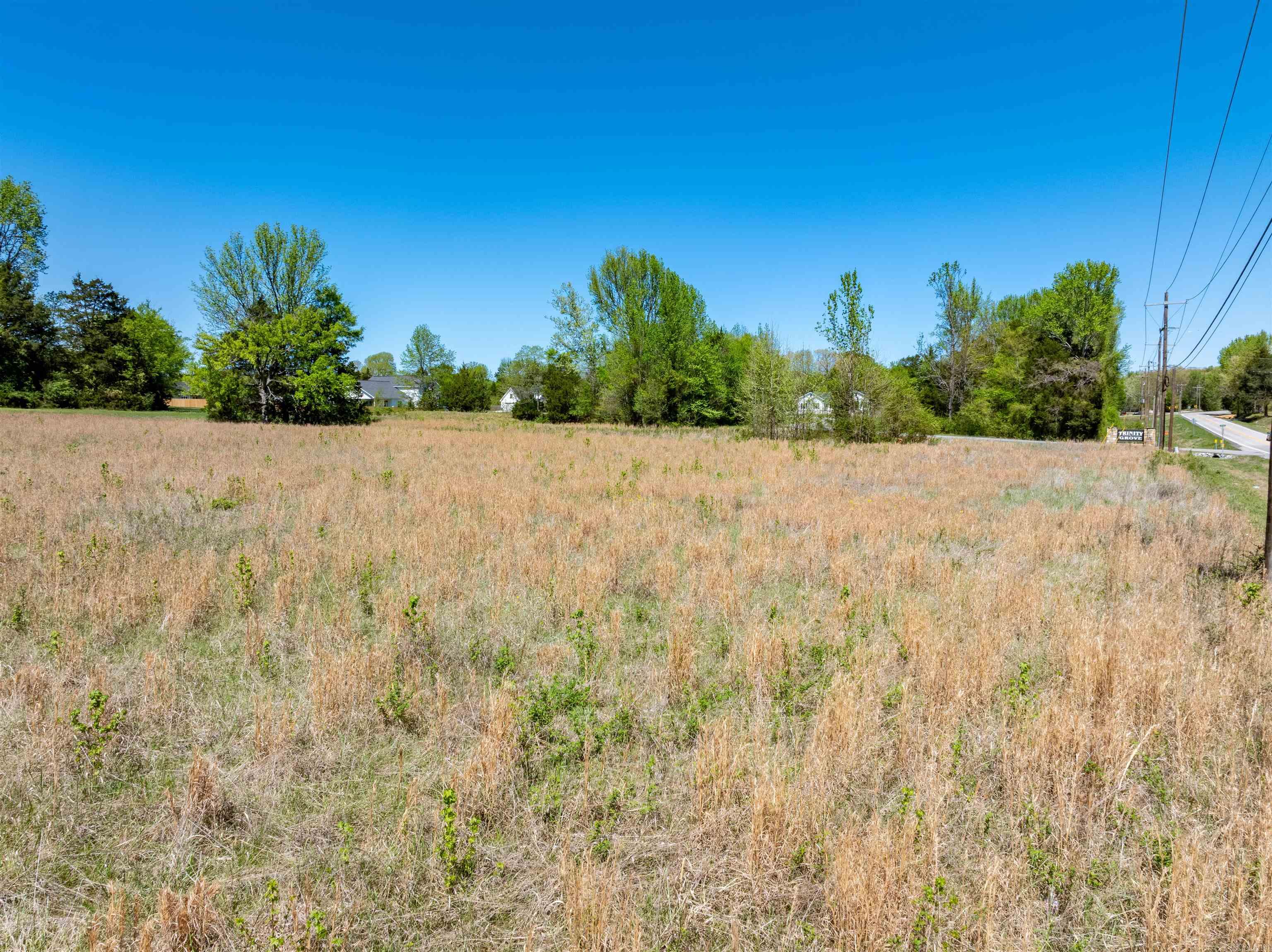Photo 10 - Vacant Land for sale – 000  Trinity Grove   Batesville, AR