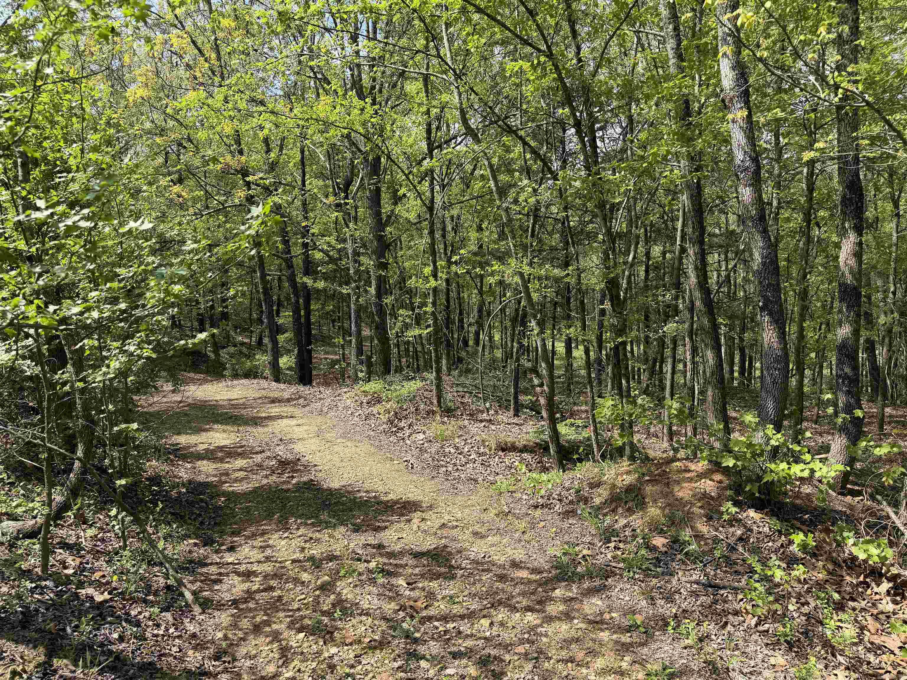 Photo 44 - Residential for sale – 100  Sanders Road   Charlotte, AR