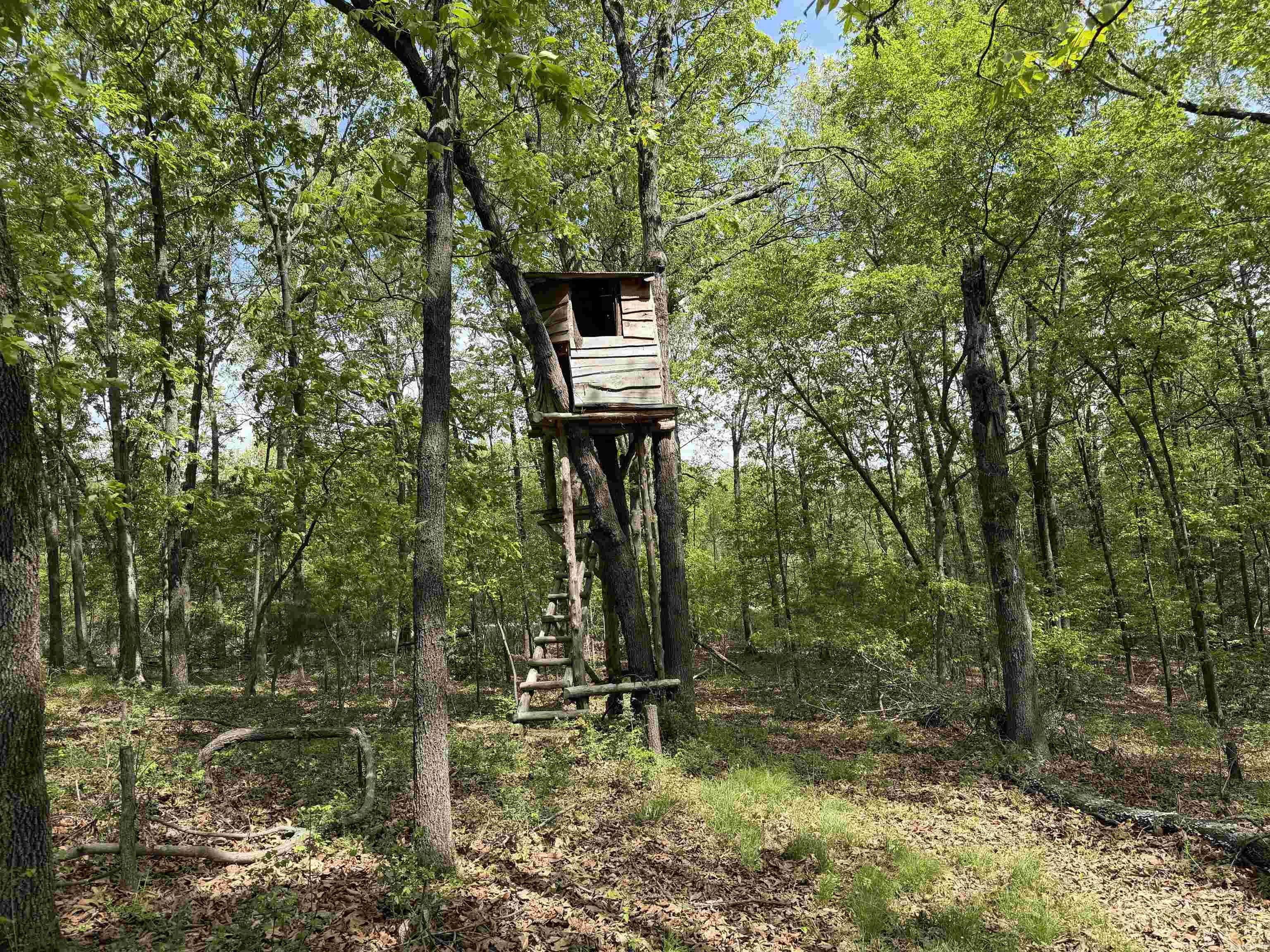 Photo 45 - Residential for sale – 100  Sanders Road   Charlotte, AR