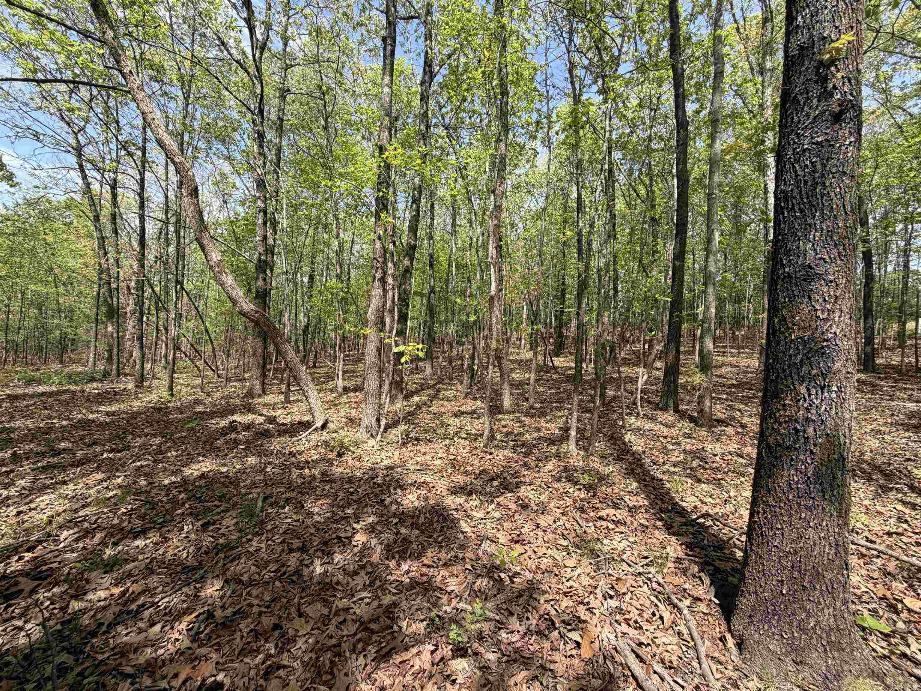 Photo 46 - Residential for sale – 100  Sanders Road   Charlotte, AR