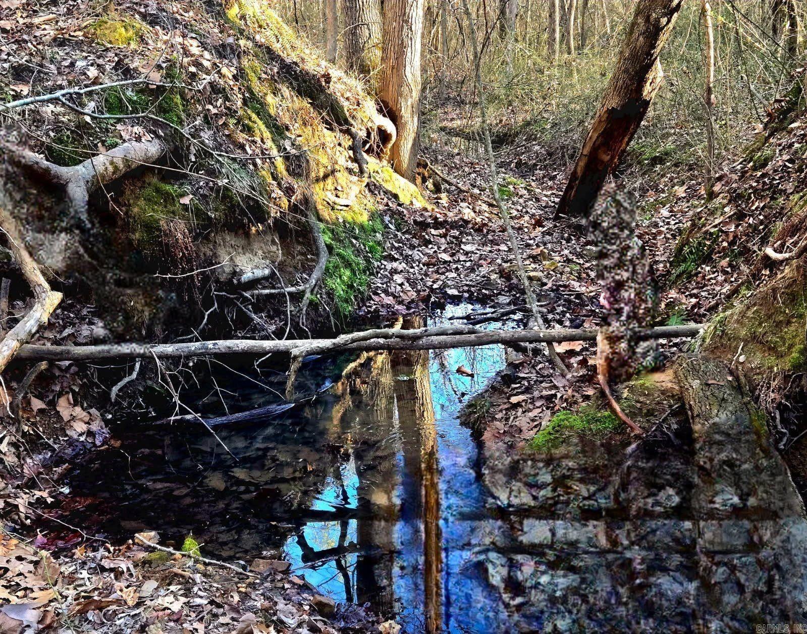 Photo 49 - Residential for sale – 100  Sanders Road   Charlotte, AR