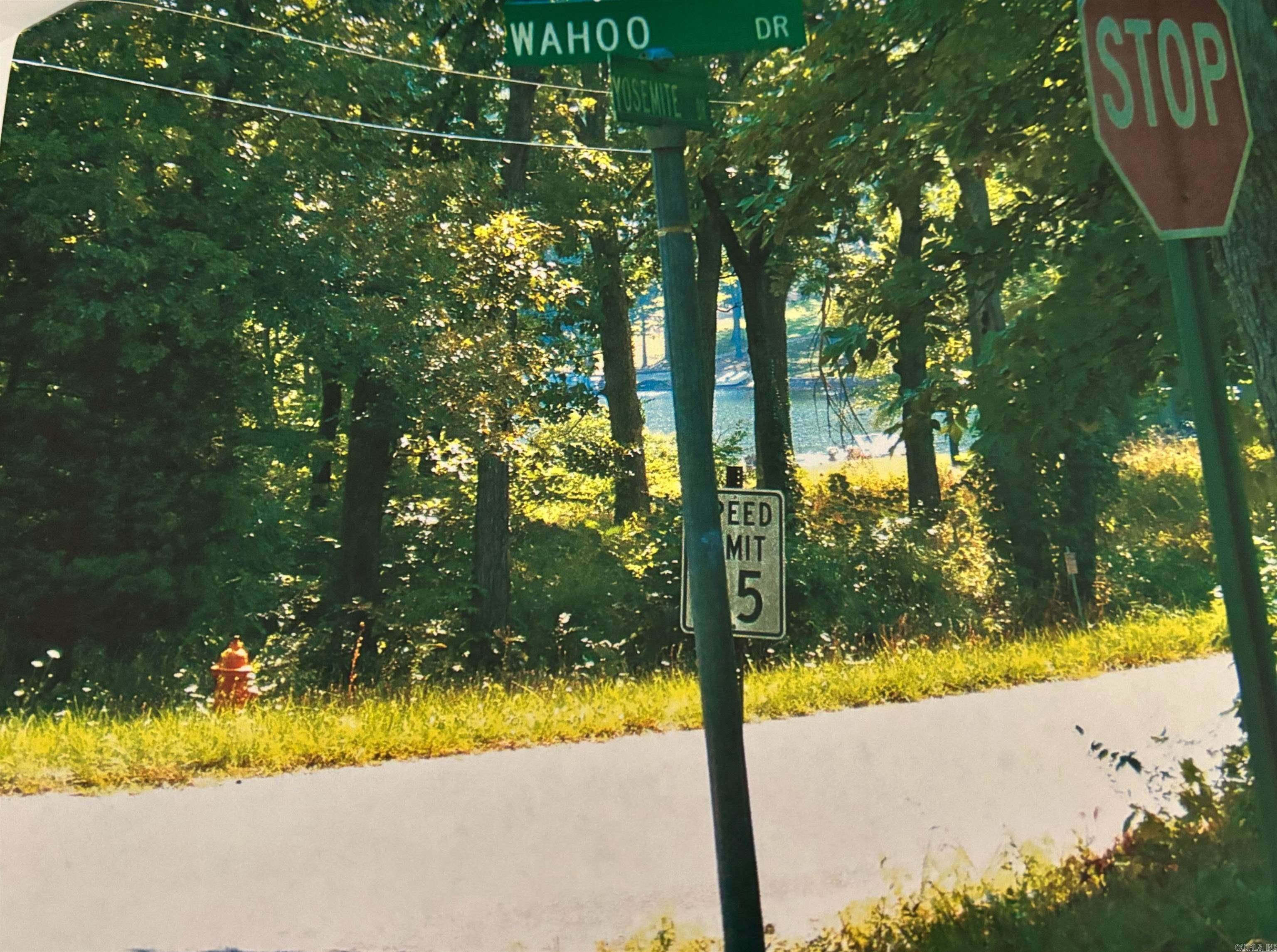 Photo 2 - Vacant Land for sale – TBD  Wahoo Drive   Cherokee Village, AR