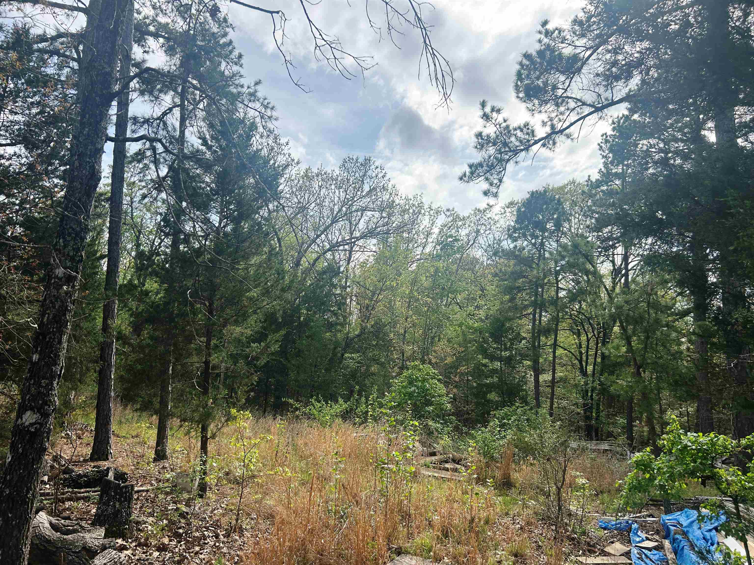 Vacant Land for sale – Block 55  Doe Run   Glencoe, AR