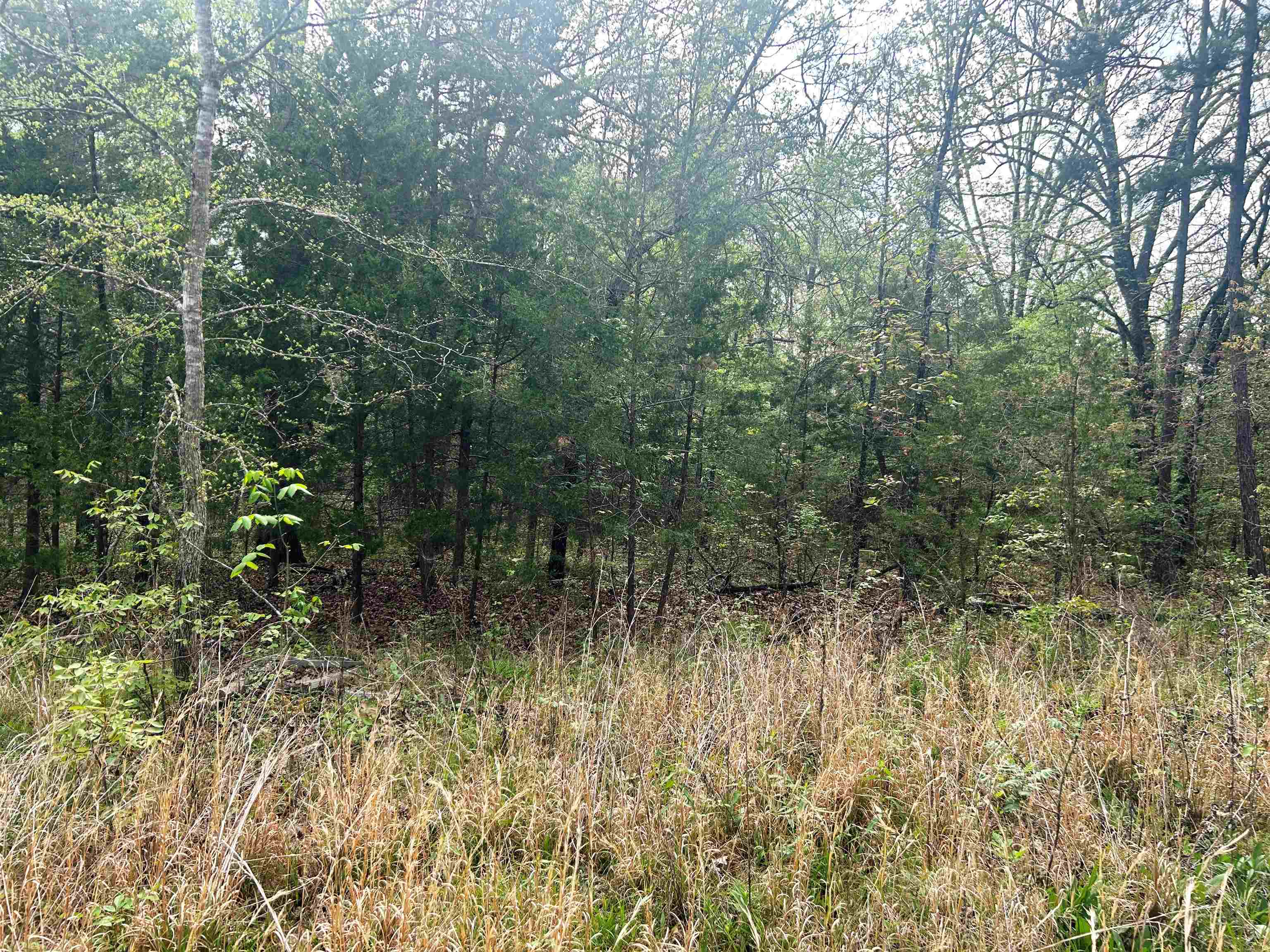 Photo 2 - Vacant Land for sale – Block 55  Doe Run   Glencoe, AR