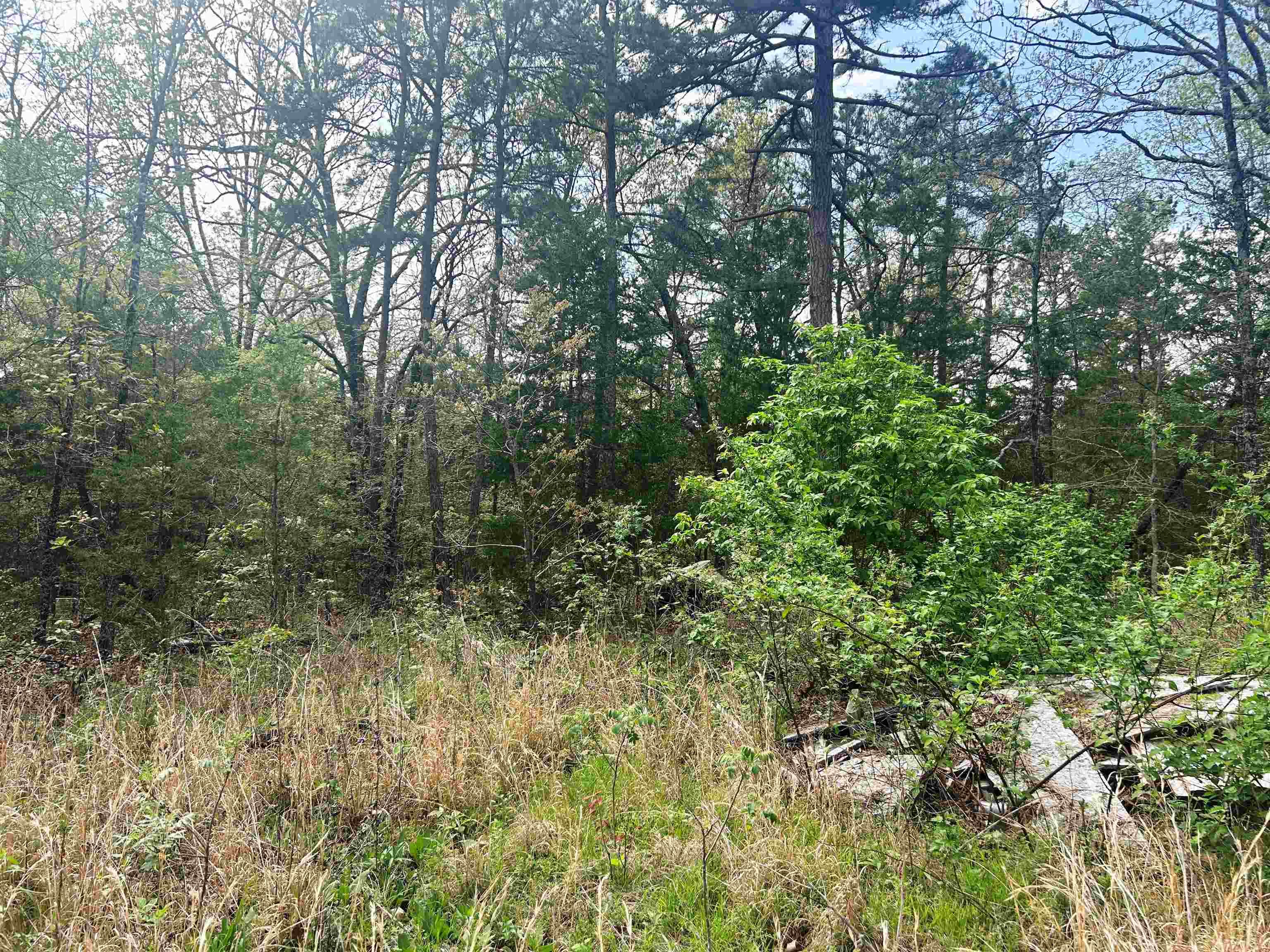 Photo 3 - Vacant Land for sale – Block 55  Doe Run   Glencoe, AR