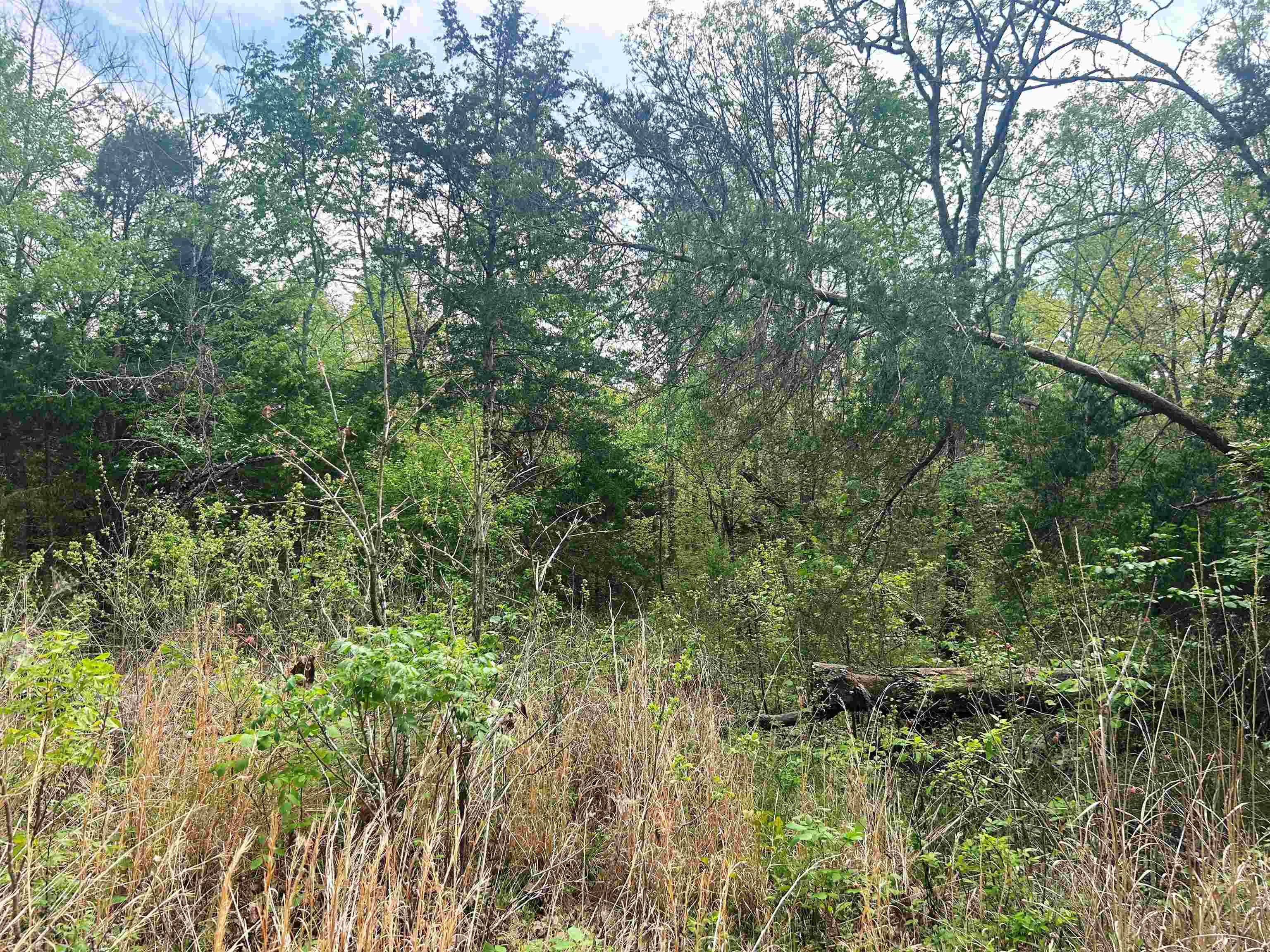 Photo 4 - Vacant Land for sale – Block 55  Doe Run   Glencoe, AR