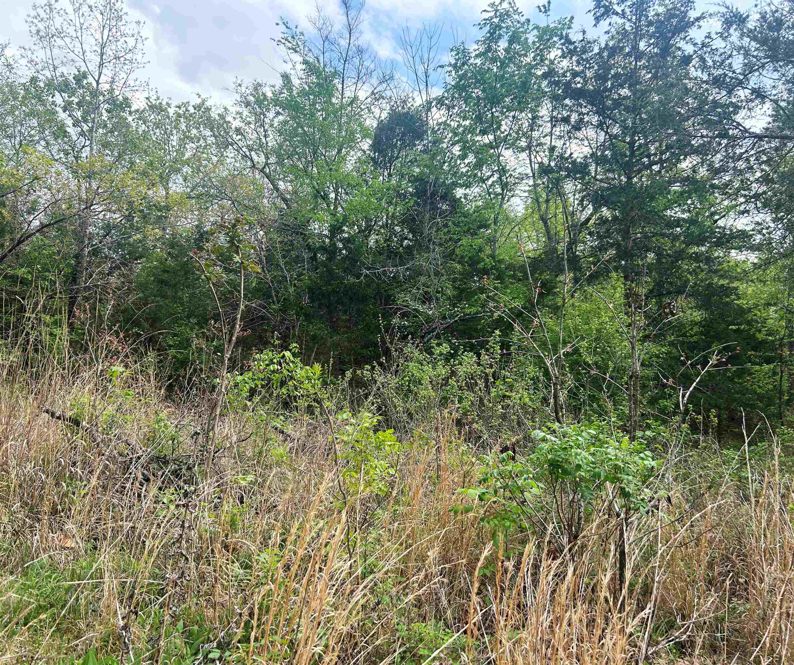 Photo 5 - Vacant Land for sale – Block 55  Doe Run   Glencoe, AR