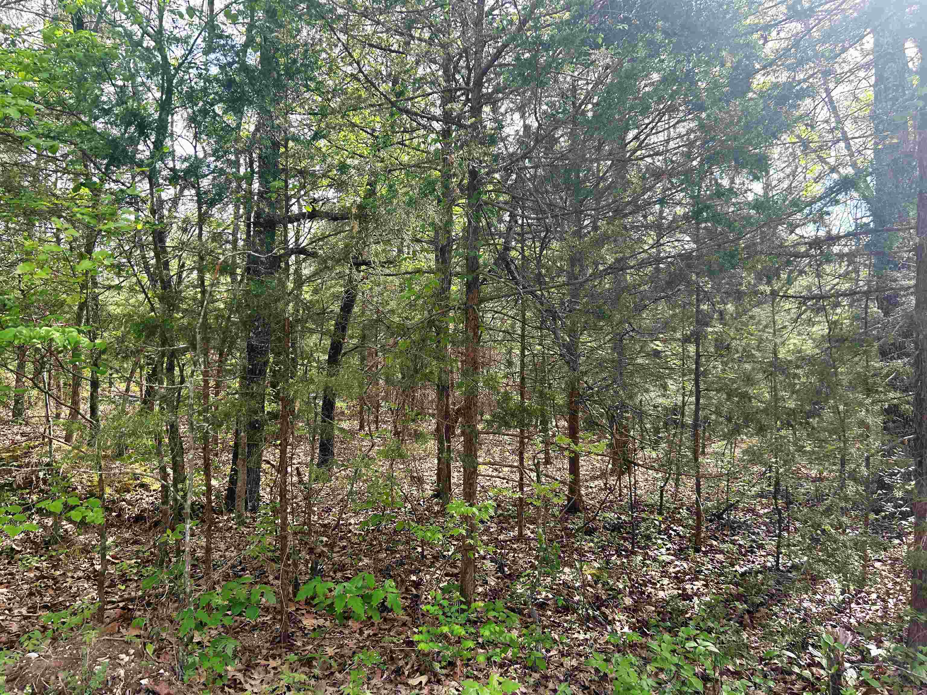 Photo 6 - Vacant Land for sale – Block 55  Doe Run   Glencoe, AR