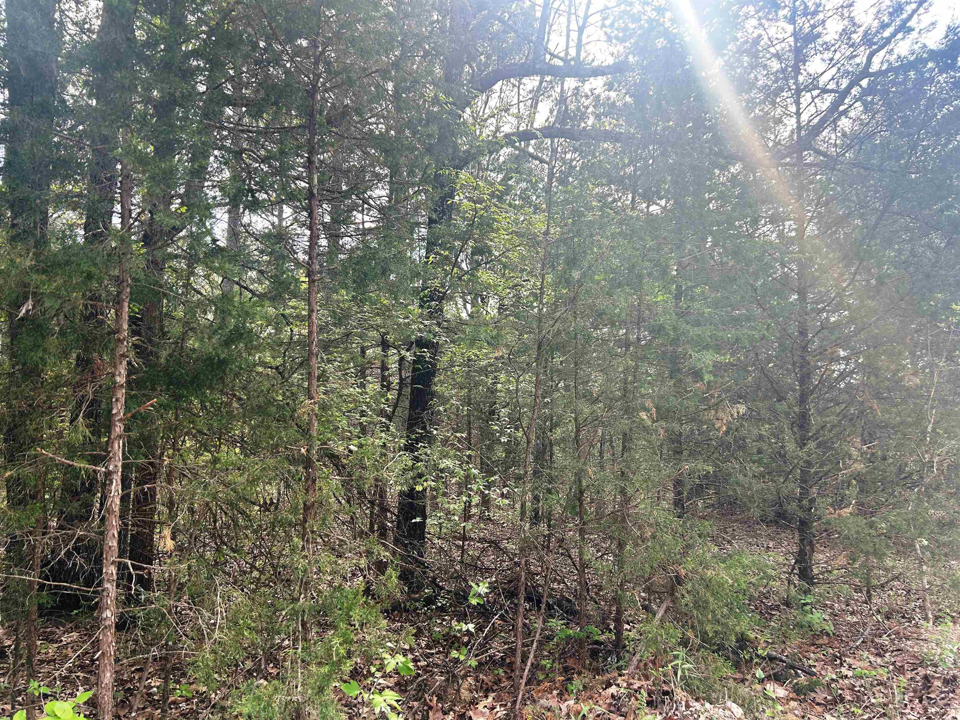 Photo 8 - Vacant Land for sale – Block 55  Doe Run   Glencoe, AR